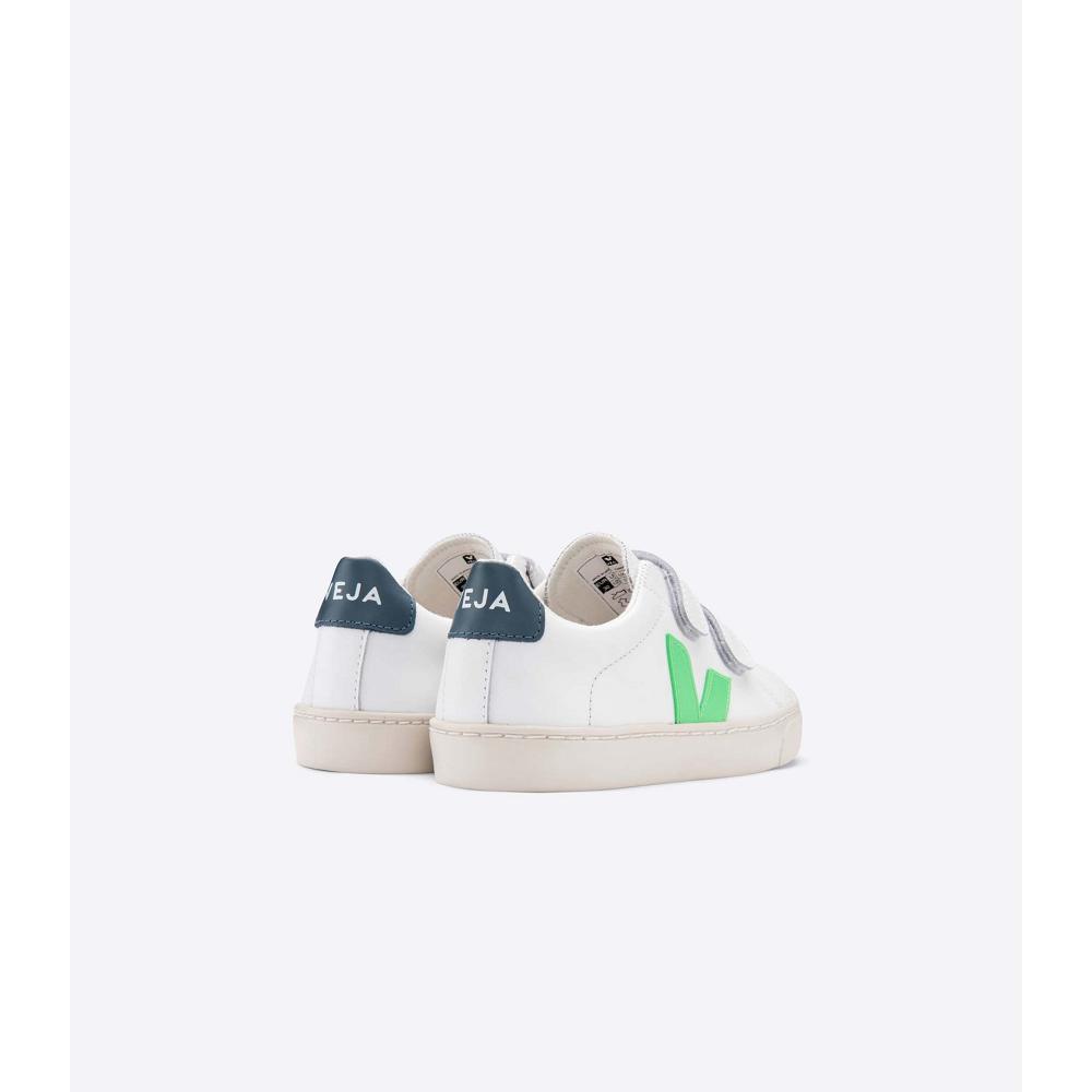 Veja ESPLAR LEATHER Kids' Sneakers White/Green | CA 816EBC